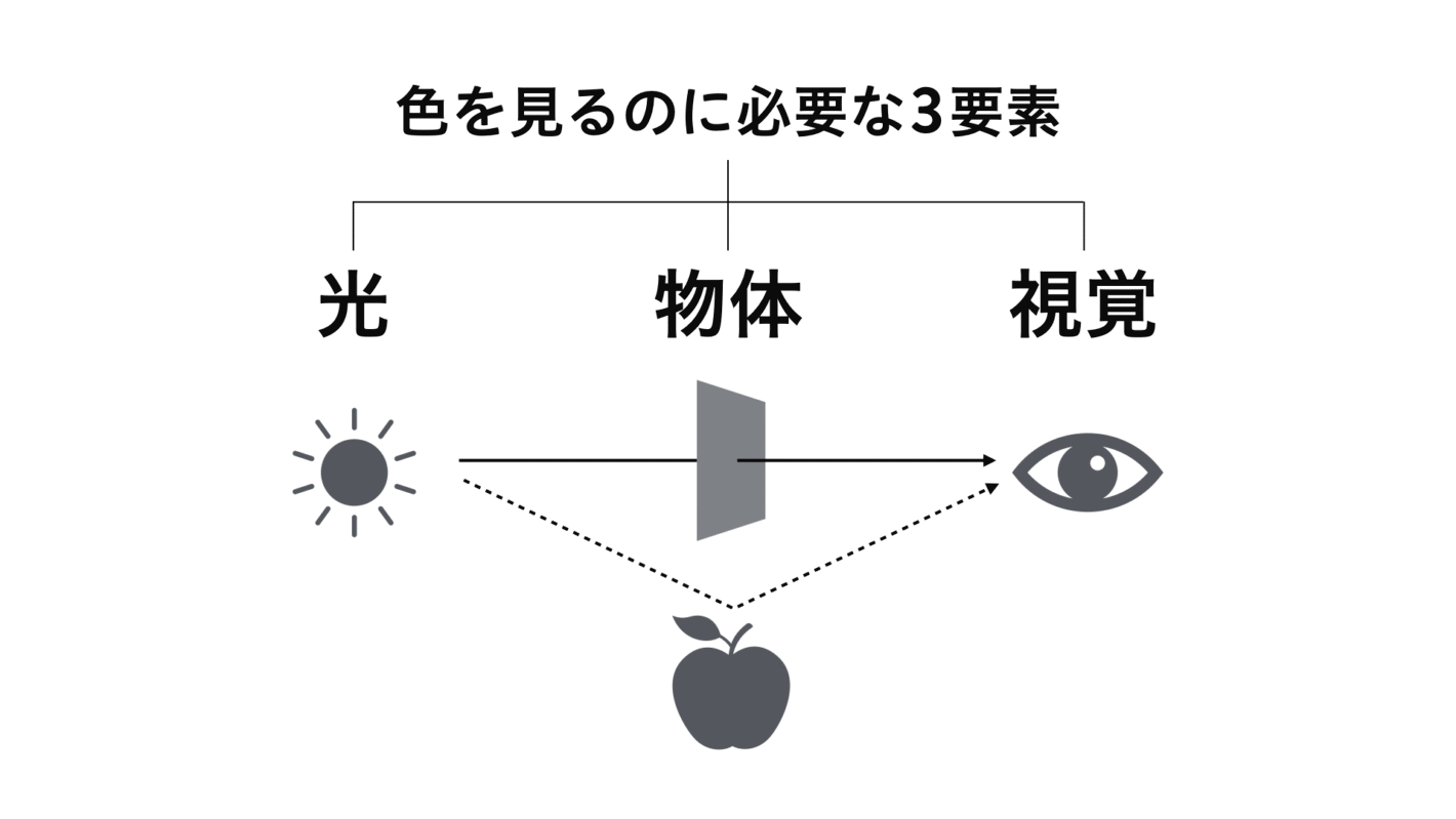 光が物体に反射したり透過したりして目に入ってくる様子を表した図