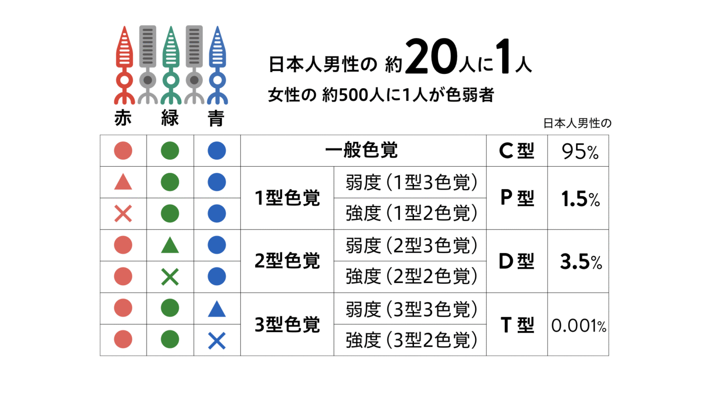 赤・緑・青の3種類の錐体細胞のはたらきと、色覚タイプの名称、日本人男性に占める割合を示した表
