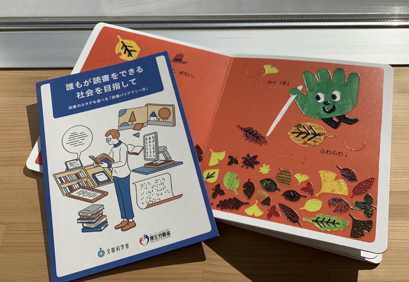 写真:読書バリアフリー法のリーフレットと、点字絵本。点字絵本では墨字とイラストが併記されている。